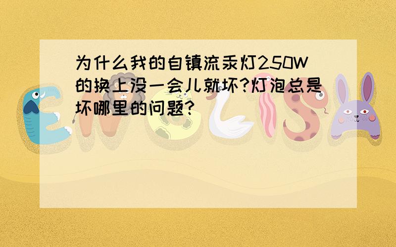 为什么我的自镇流汞灯250W的换上没一会儿就坏?灯泡总是坏哪里的问题?