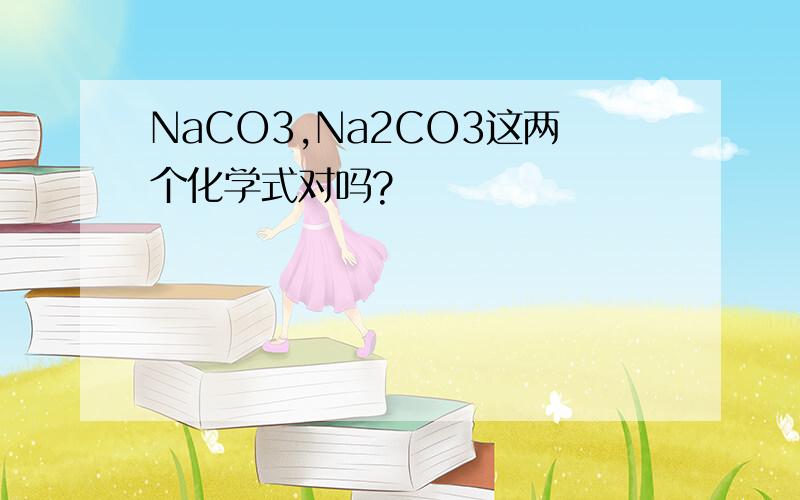 NaCO3,Na2CO3这两个化学式对吗?