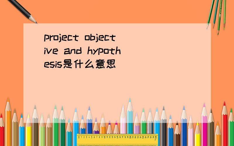 project objective and hypothesis是什么意思