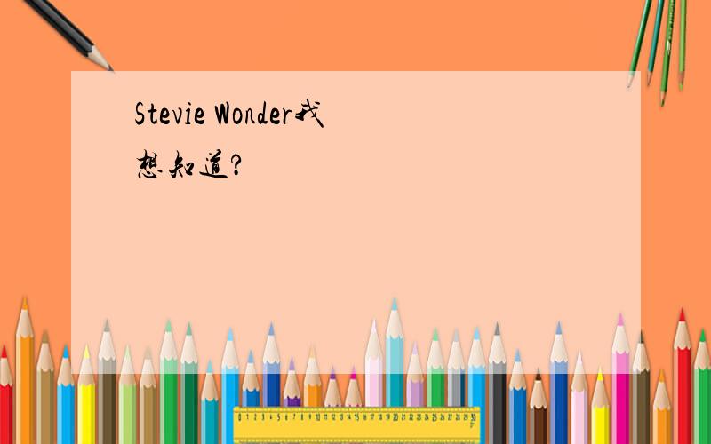 Stevie Wonder我想知道?