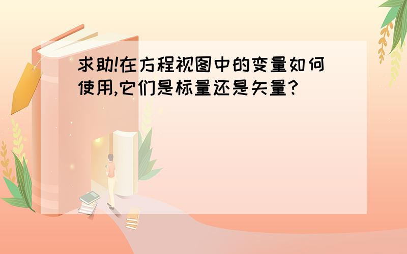 求助!在方程视图中的变量如何使用,它们是标量还是矢量?