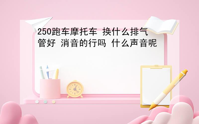 250跑车摩托车 换什么排气管好 消音的行吗 什么声音呢