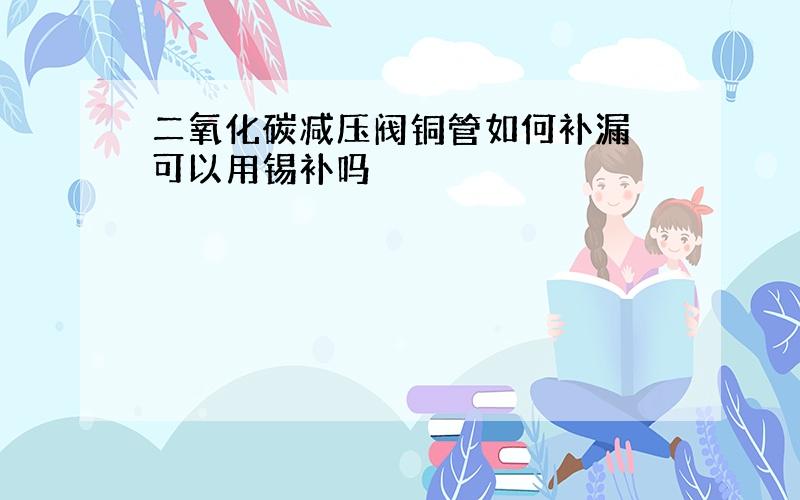 二氧化碳减压阀铜管如何补漏 可以用锡补吗