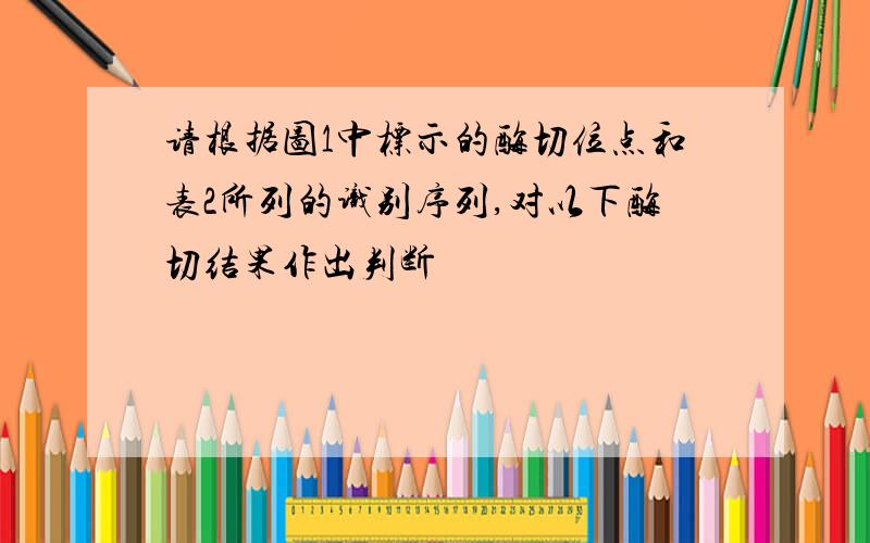 请根据图1中标示的酶切位点和表2所列的识别序列,对以下酶切结果作出判断