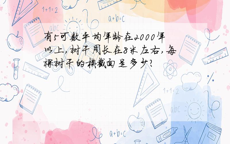 有5可数平均年龄在2000年以上,树干周长在8米左右,每棵树干的横截面是多少?