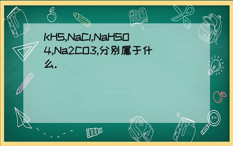 KHS,NaCl,NaHSO4,Na2CO3,分别属于什么.