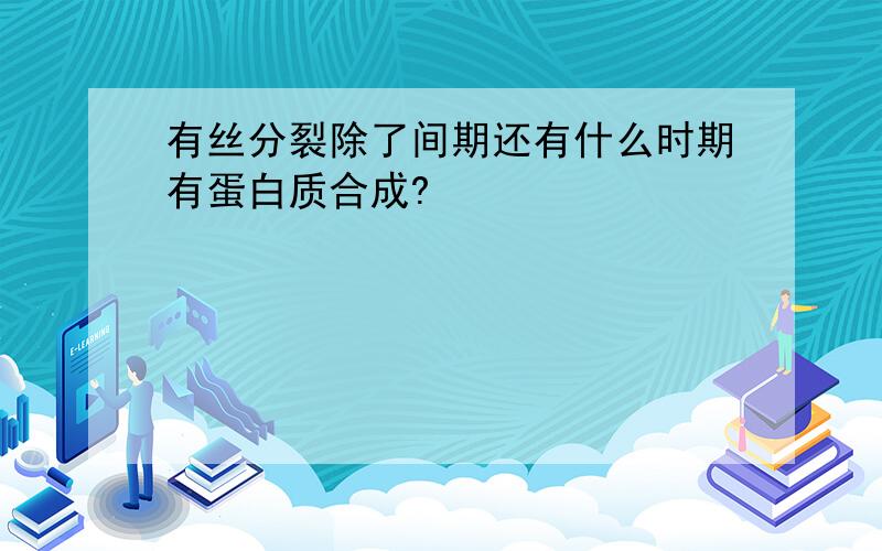 有丝分裂除了间期还有什么时期有蛋白质合成?