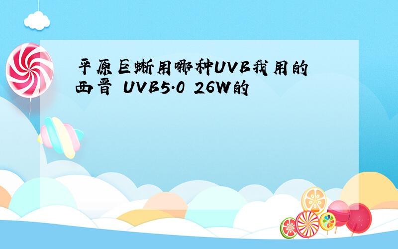 平原巨蜥用哪种UVB我用的 西晋 UVB5.0 26W的