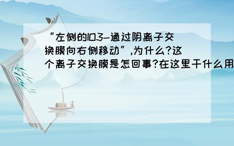 “左侧的IO3-通过阴离子交换膜向右侧移动”,为什么?这个离子交换膜是怎回事?在这里干什么用?