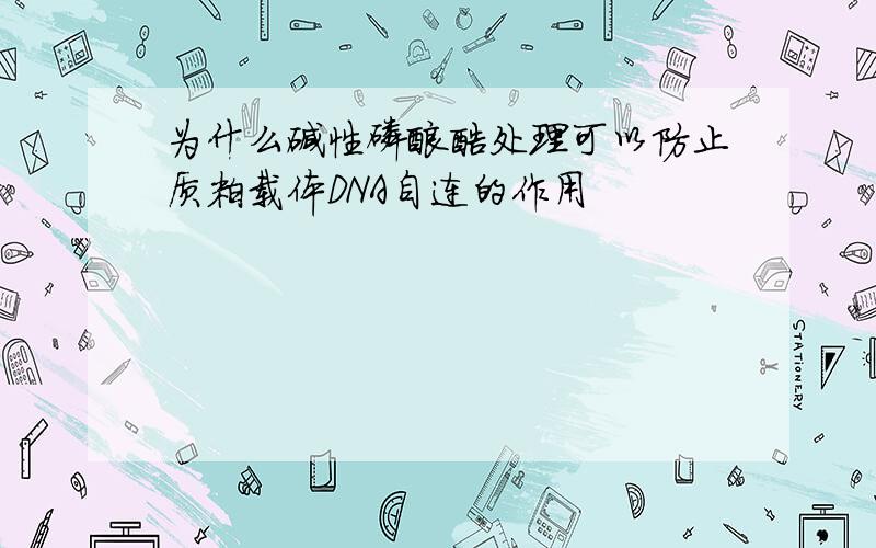 为什么碱性磷酸酶处理可以防止质粒载体DNA自连的作用