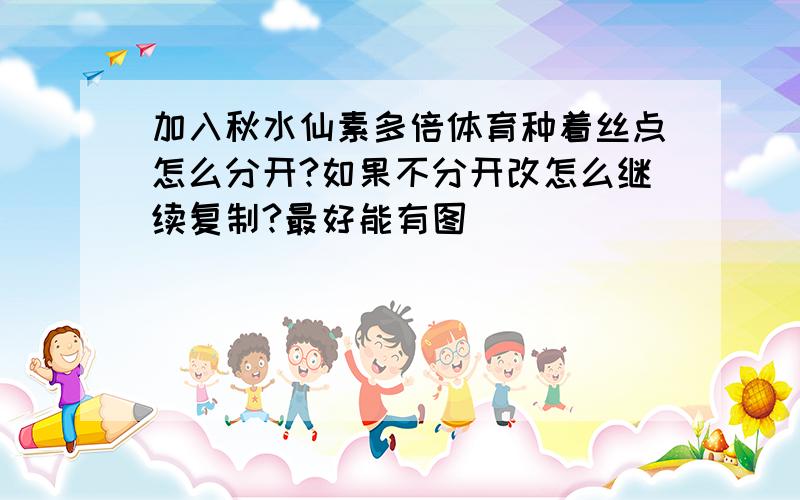 加入秋水仙素多倍体育种着丝点怎么分开?如果不分开改怎么继续复制?最好能有图