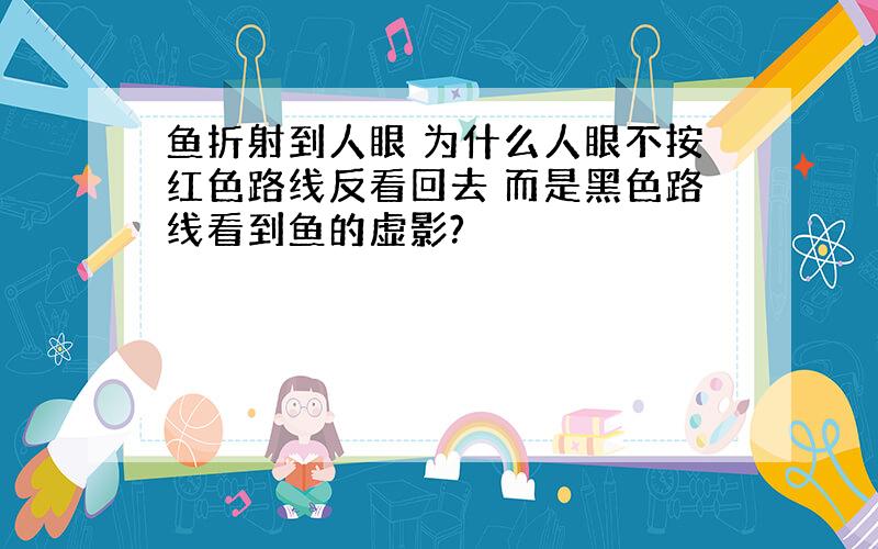 鱼折射到人眼 为什么人眼不按红色路线反看回去 而是黑色路线看到鱼的虚影?