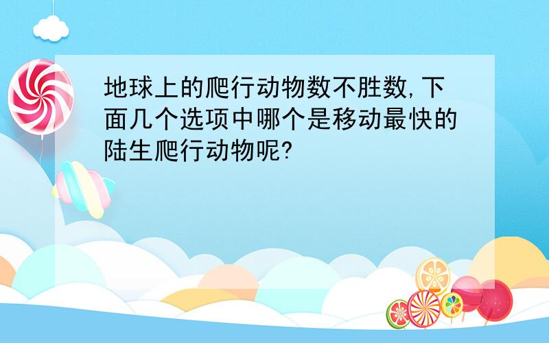 地球上的爬行动物数不胜数,下面几个选项中哪个是移动最快的陆生爬行动物呢?