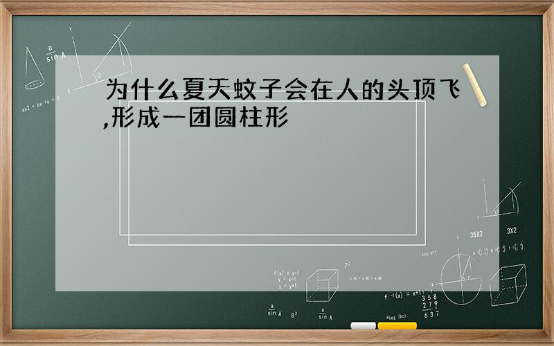 为什么夏天蚊子会在人的头顶飞,形成一团圆柱形