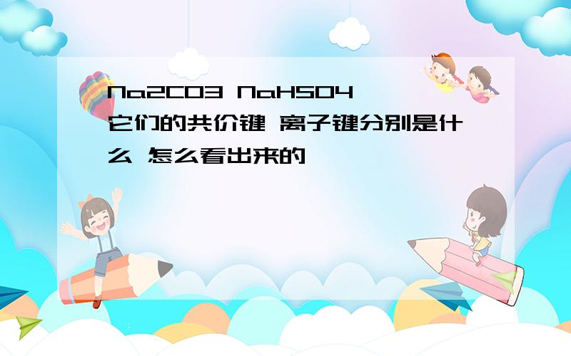 Na2CO3 NaHSO4 它们的共价键 离子键分别是什么 怎么看出来的