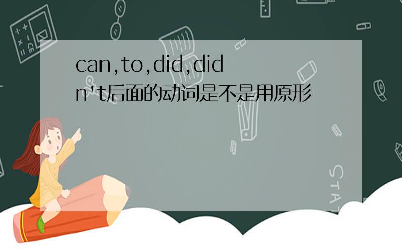 can,to,did,didn't后面的动词是不是用原形