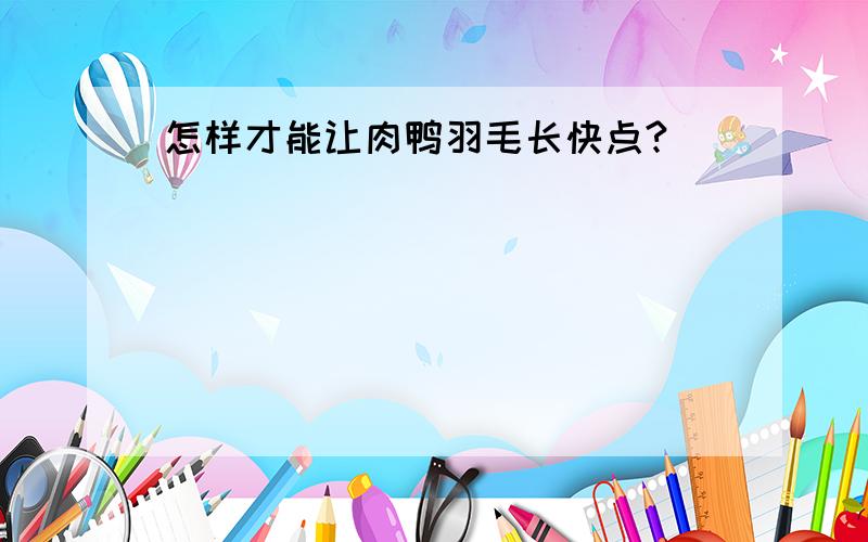 怎样才能让肉鸭羽毛长快点?