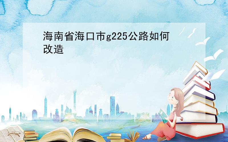 海南省海口市g225公路如何改造