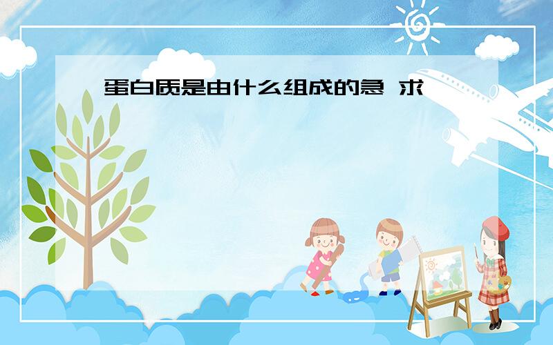 蛋白质是由什么组成的急 求