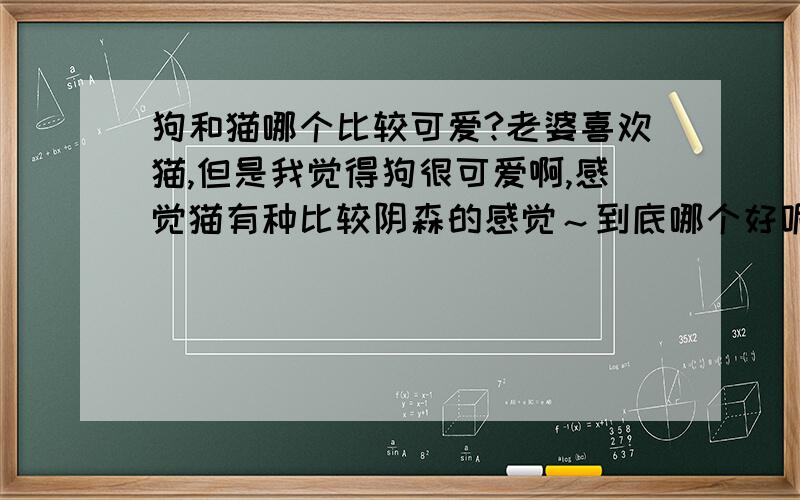 狗和猫哪个比较可爱?老婆喜欢猫,但是我觉得狗很可爱啊,感觉猫有种比较阴森的感觉～到底哪个好呢?