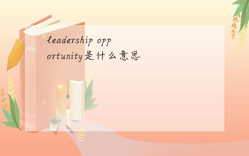 leadership opportunity是什么意思