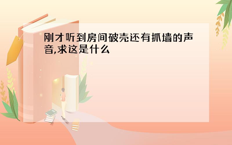 刚才听到房间破壳还有抓墙的声音,求这是什么