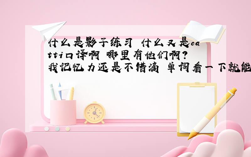 什么是影子练习 什么又是catti口译啊 哪里有他们啊?我记忆力还是不错滴 单词看一下就能背下来 还要通晓天文地理才能做