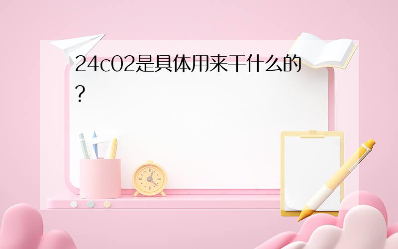 24c02是具体用来干什么的?