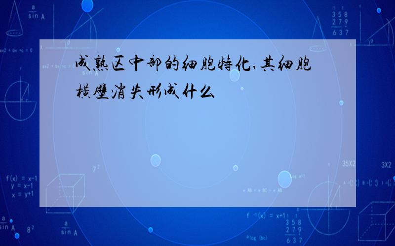 成熟区中部的细胞特化,其细胞横壁消失形成什么