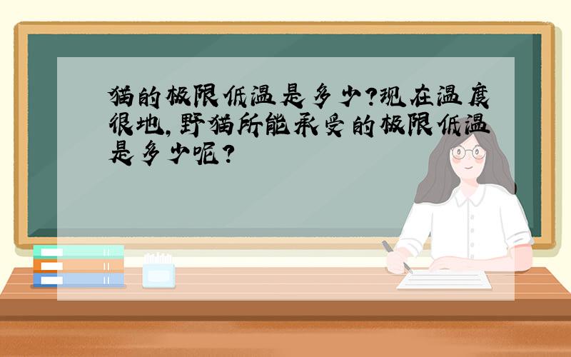 猫的极限低温是多少?现在温度很地,野猫所能承受的极限低温是多少呢?