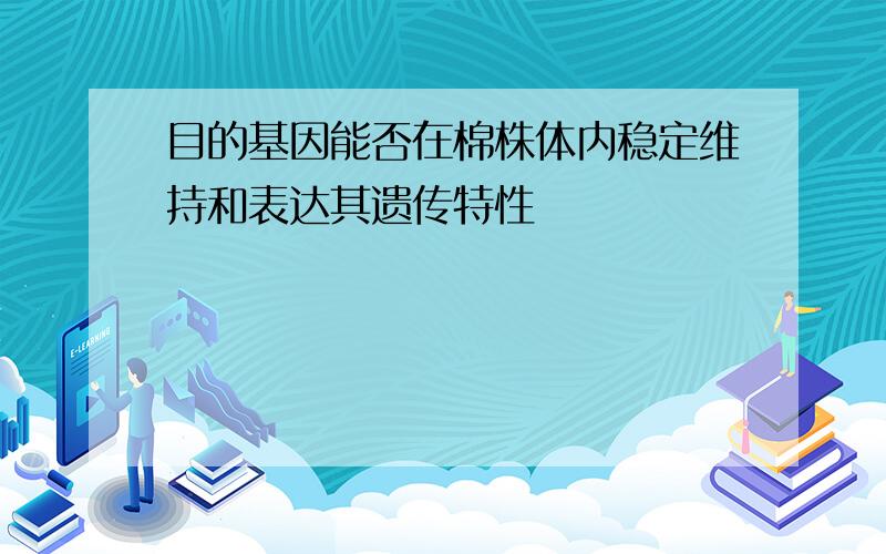 目的基因能否在棉株体内稳定维持和表达其遗传特性