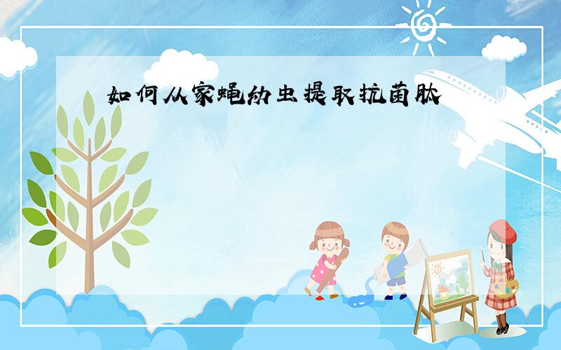 如何从家蝇幼虫提取抗菌肽