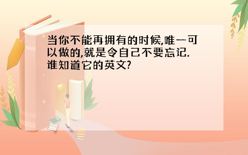 当你不能再拥有的时候,唯一可以做的,就是令自己不要忘记.谁知道它的英文?