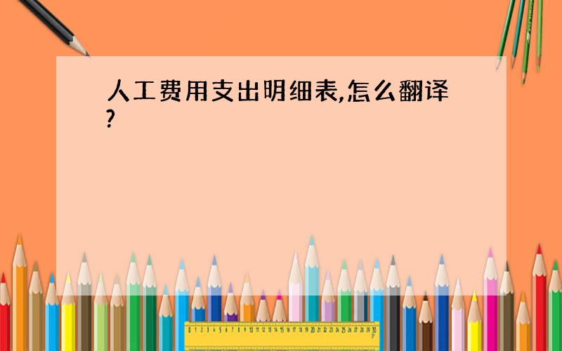 人工费用支出明细表,怎么翻译?