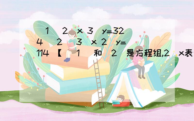 (1) 2^x 3^y=324 (2) 3^x 2^y=114 【 (1) 和（2）是方程组,2^x表示2的x方,3^y