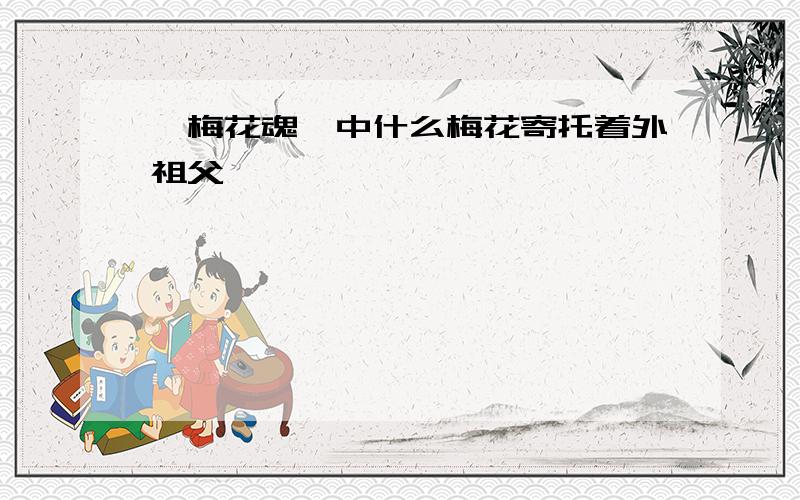 《梅花魂》中什么梅花寄托着外祖父