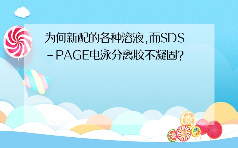 为何新配的各种溶液,而SDS-PAGE电泳分离胶不凝固?