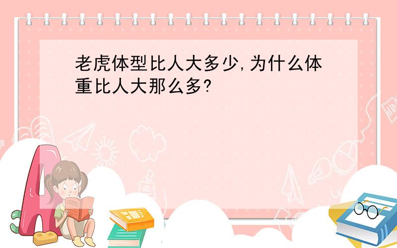 老虎体型比人大多少,为什么体重比人大那么多?