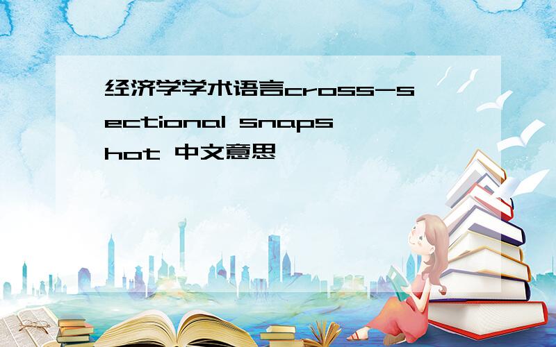 经济学学术语言cross-sectional snapshot 中文意思