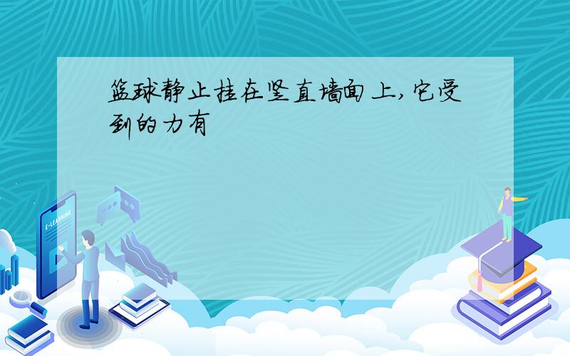 篮球静止挂在竖直墙面上,它受到的力有