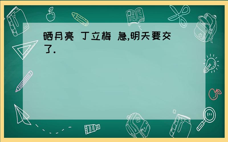 晒月亮 丁立梅 急,明天要交了.