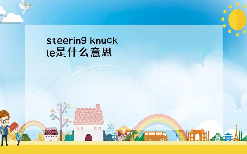 steering knuckle是什么意思