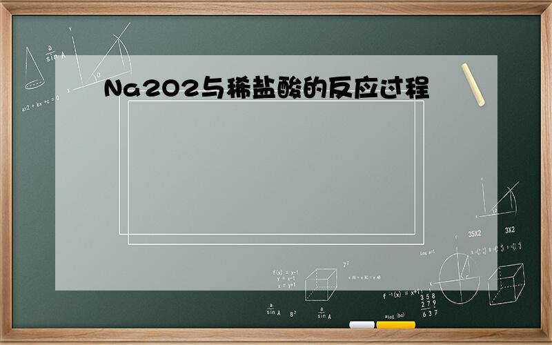 Na2O2与稀盐酸的反应过程