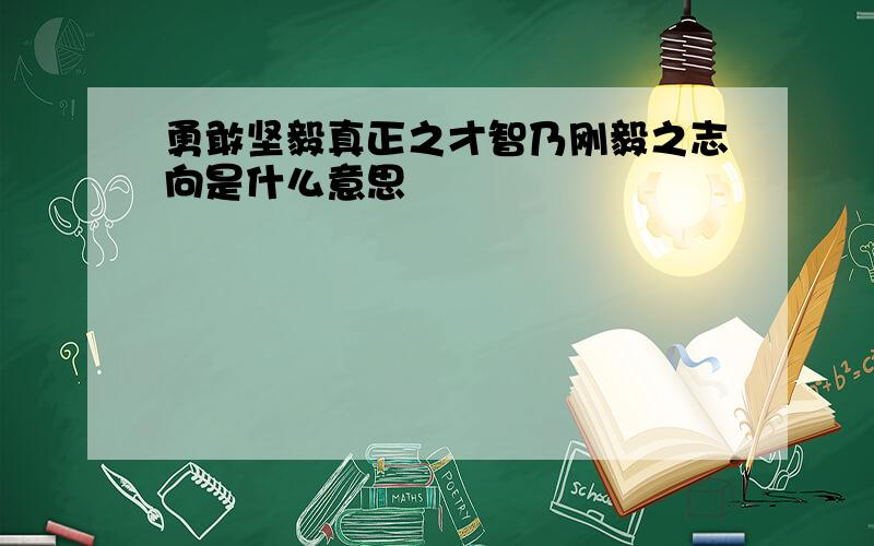 勇敢坚毅真正之才智乃刚毅之志向是什么意思