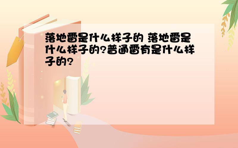 落地雷是什么样子的 落地雷是什么样子的?普通雷有是什么样子的?