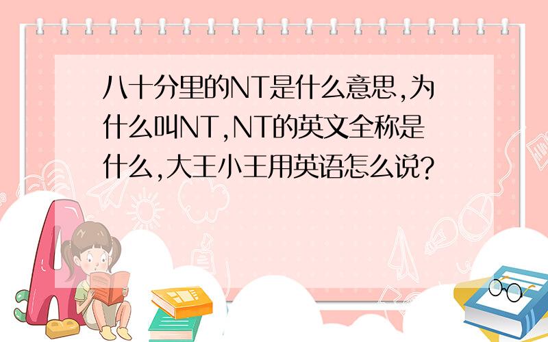 八十分里的NT是什么意思,为什么叫NT,NT的英文全称是什么,大王小王用英语怎么说?