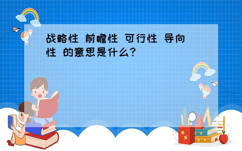 战略性 前瞻性 可行性 导向性 的意思是什么?