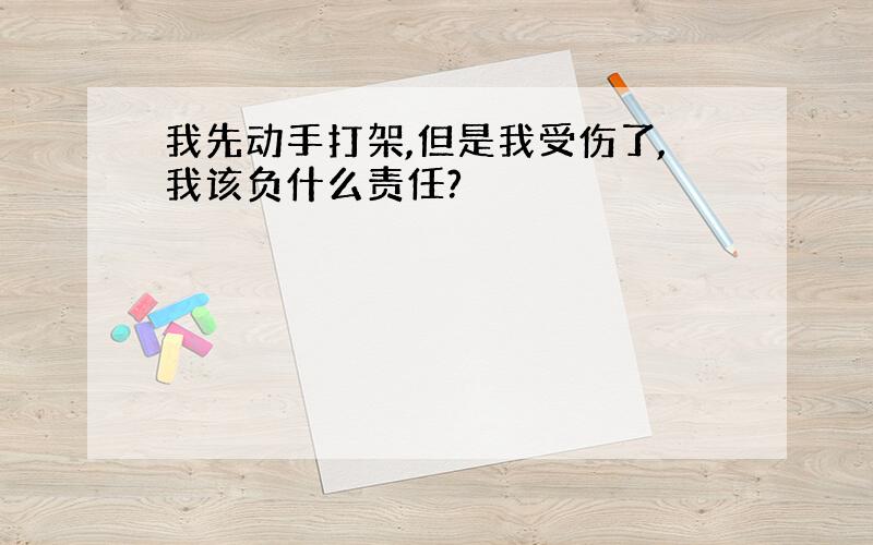 我先动手打架,但是我受伤了,我该负什么责任?