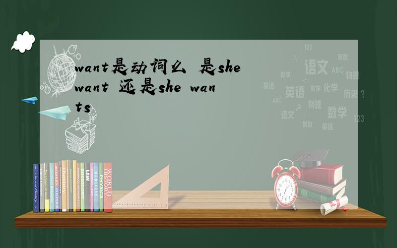 want是动词么 是she want 还是she wants