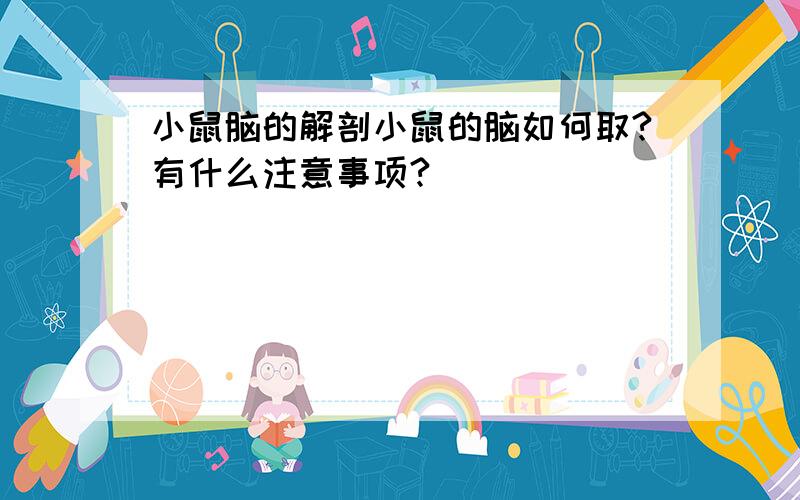 小鼠脑的解剖小鼠的脑如何取?有什么注意事项?